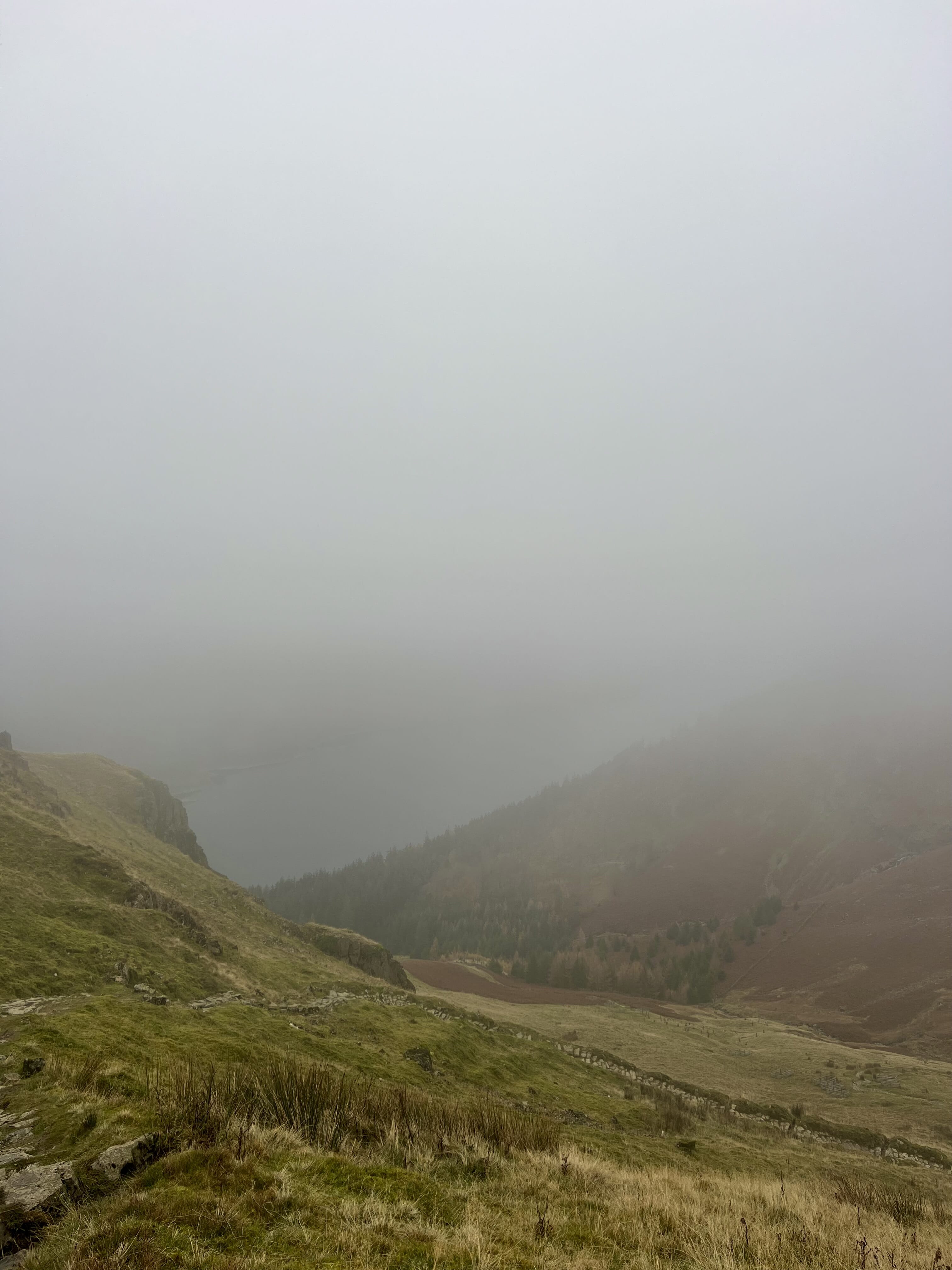 Cumbria Fog